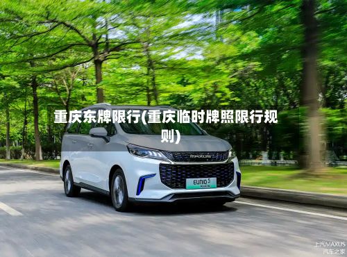 重庆东牌限行(重庆临时牌照限行规则)-第2张图片