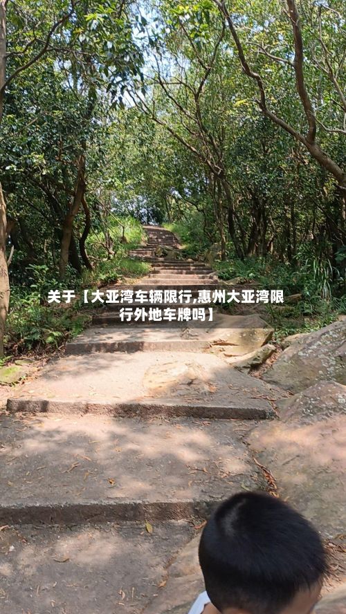 关于【大亚湾车辆限行,惠州大亚湾限行外地车牌吗】
