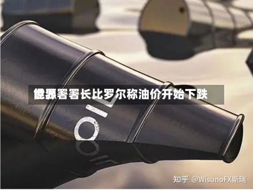 世界能源署署长比罗尔称油价开始下跌-第2张图片