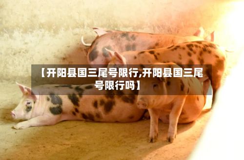 【开阳县国三尾号限行,开阳县国三尾号限行吗】-第3张图片