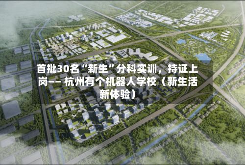 首批30名“新生”分科实训，持证上岗—— 杭州有个机器人学校（新生活新体验）-第2张图片