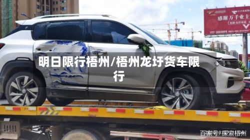 明日限行梧州/梧州龙圩货车限行-第2张图片