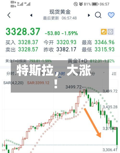 特斯拉，大涨！