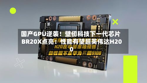 国产GPU逆袭！壁仞科技下一代芯片BR20X点亮：性能有望超英伟达H200-第2张图片