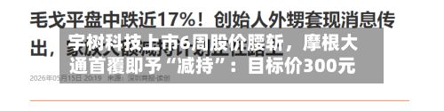 宇树科技上市6周股价腰斩，摩根大通首覆即予“减持”：目标价300元-第3张图片