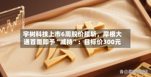 宇树科技上市6周股价腰斩，摩根大通首覆即予“减持”：目标价300元