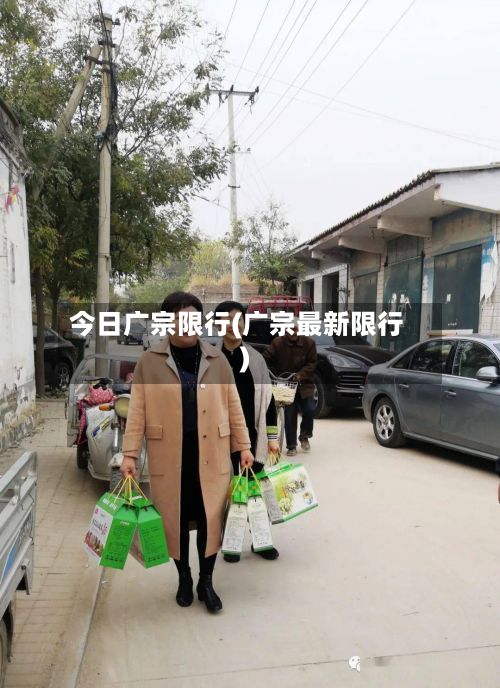 今日广宗限行(广宗最新限行)-第2张图片