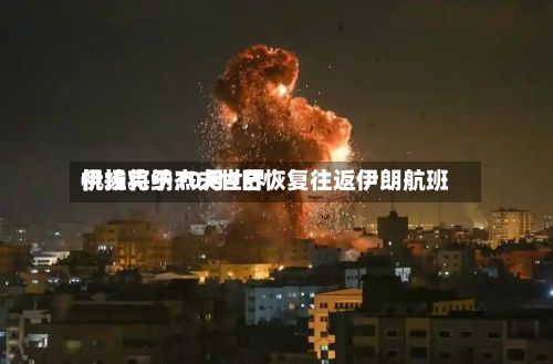 伊拉克纳杰夫世界机场将于10月4日恢复往返伊朗航班-第2张图片