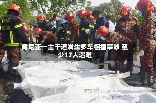 肯尼亚一主干道发生多车相撞事故 至少17人遇难