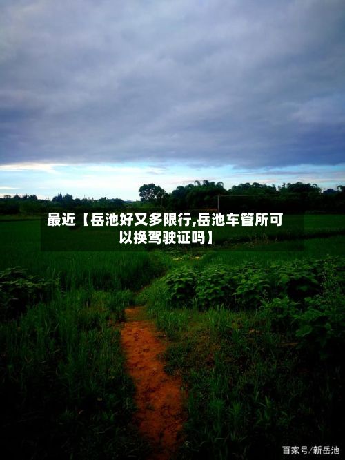 最近【岳池好又多限行,岳池车管所可以换驾驶证吗】