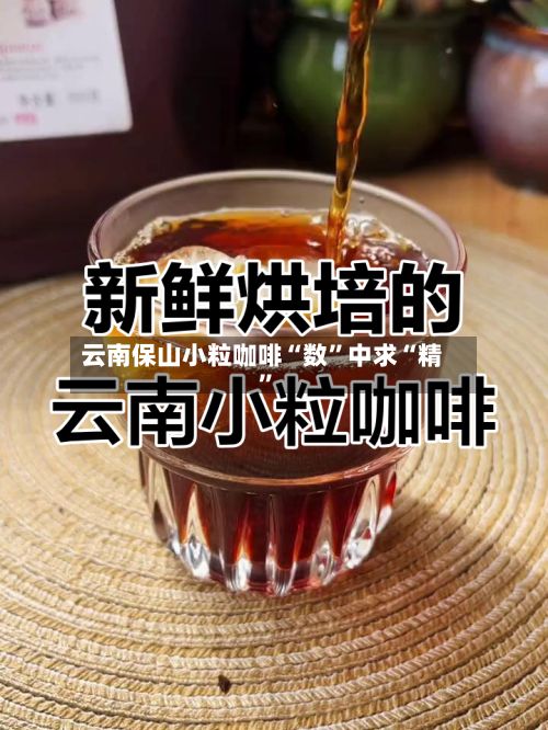 云南保山小粒咖啡“数”中求“精	”-第3张图片