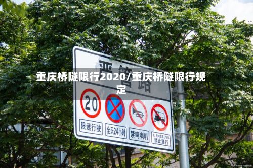 重庆桥隧限行2020/重庆桥隧限行规定-第3张图片