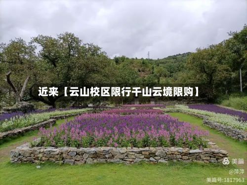 近来【云山校区限行千山云境限购】