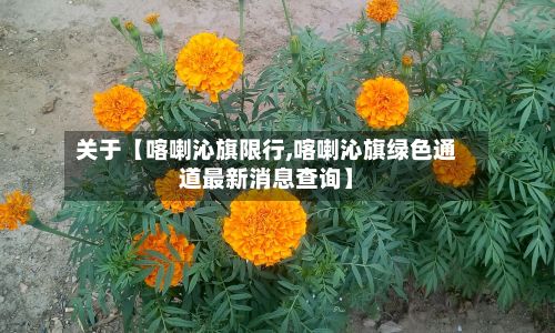 关于【喀喇沁旗限行,喀喇沁旗绿色通道最新消息查询】-第2张图片
