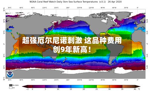 超强厄尔尼诺刺激 这品种费用创9年新高！-第3张图片