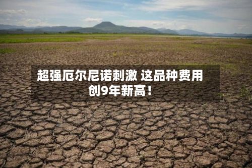 超强厄尔尼诺刺激 这品种费用创9年新高！-第2张图片