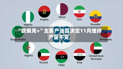 “欧佩克+”主要产油国决定11月维持产量不变