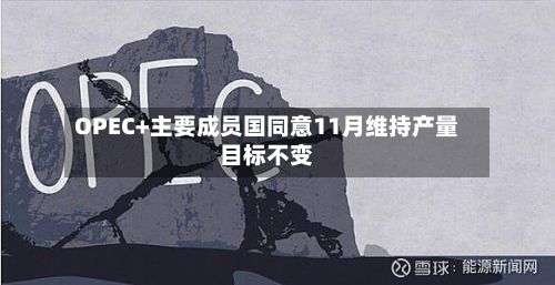 OPEC+主要成员国同意11月维持产量目标不变