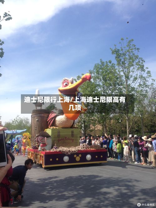 迪士尼限行上海/上海迪士尼限高有几项