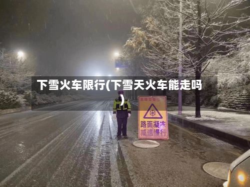 下雪火车限行(下雪天火车能走吗)-第3张图片