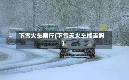 下雪火车限行(下雪天火车能走吗)-第2张图片