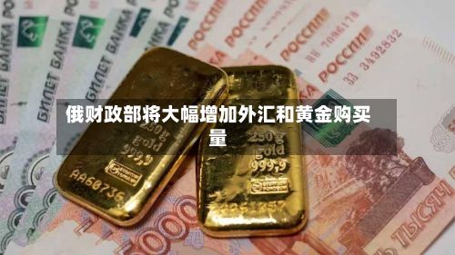 俄财政部将大幅增加外汇和黄金购买量