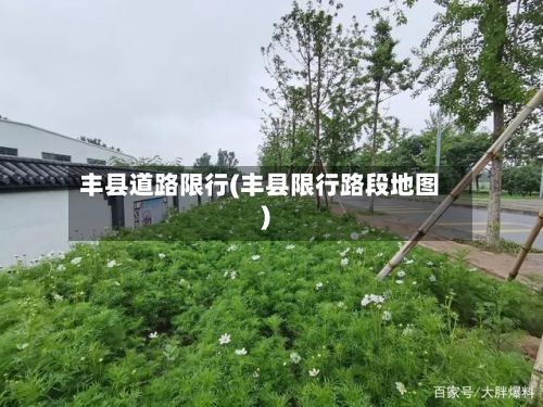 丰县道路限行(丰县限行路段地图)
