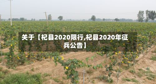 关于【杞县2020限行,杞县2020年征兵公告】