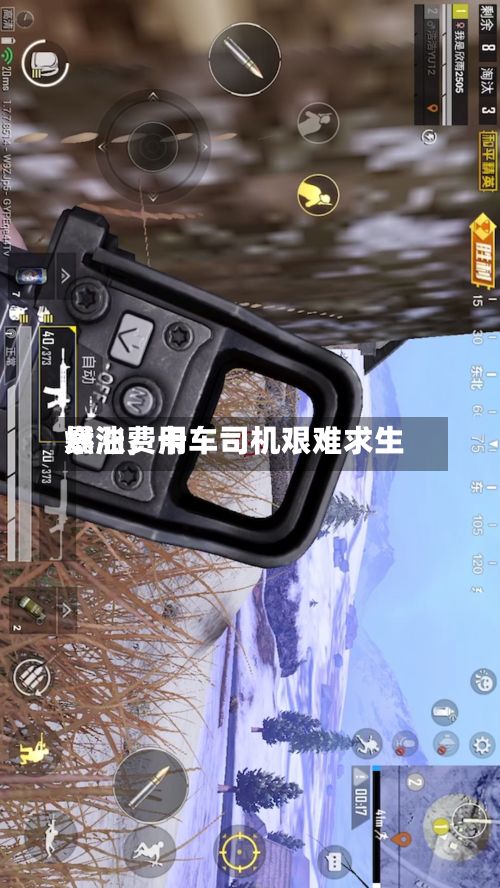 燃油费用暴涨，卡车司机艰难求生-第3张图片