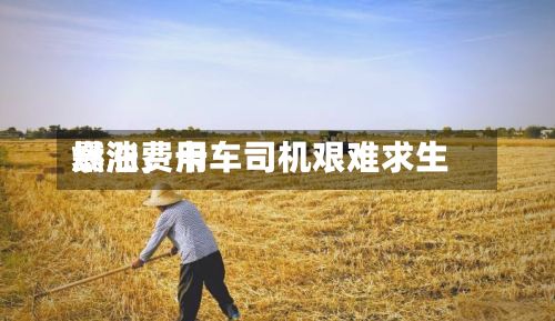 燃油费用暴涨	，卡车司机艰难求生-第1张图片
