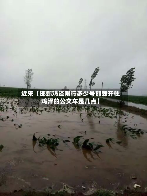 近来【邯郸鸡泽限行多少号邯郸开往鸡泽的公交车是几点】-第3张图片