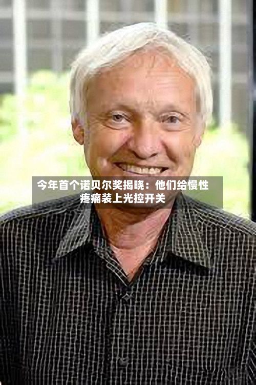 今年首个诺贝尔奖揭晓:他们给慢性疼痛装上光控开关-第2张图片