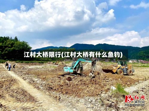 江村大桥限行(江村大桥有什么鱼钓)-第2张图片