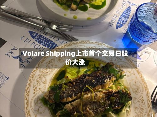 Volare Shipping上市首个交易日股价大涨-第2张图片