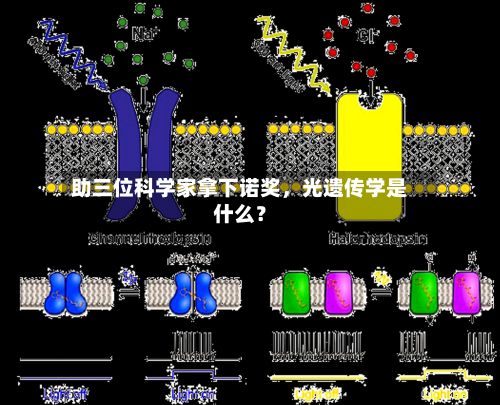 助三位科学家拿下诺奖，光遗传学是什么？-第3张图片
