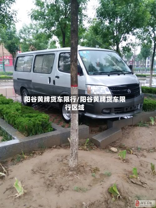 阳谷黄牌货车限行/阳谷黄牌货车限行区域-第2张图片