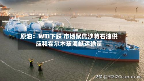 原油:WTI下跌 市场聚焦沙特石油供应和霍尔木兹海峡运输量-第2张图片