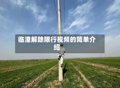 临潼解除限行视频的简单介绍