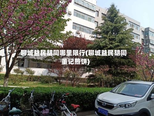 聊城益民胡同哪里限行(聊城益民胡同董记煎饼)