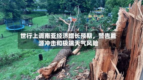 世行上调南亚经济增长预期，警告能源冲击和极端天气风险-第2张图片