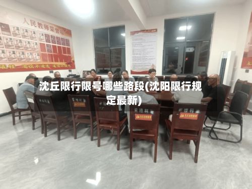 沈丘限行限号哪些路段(沈阳限行规定最新)