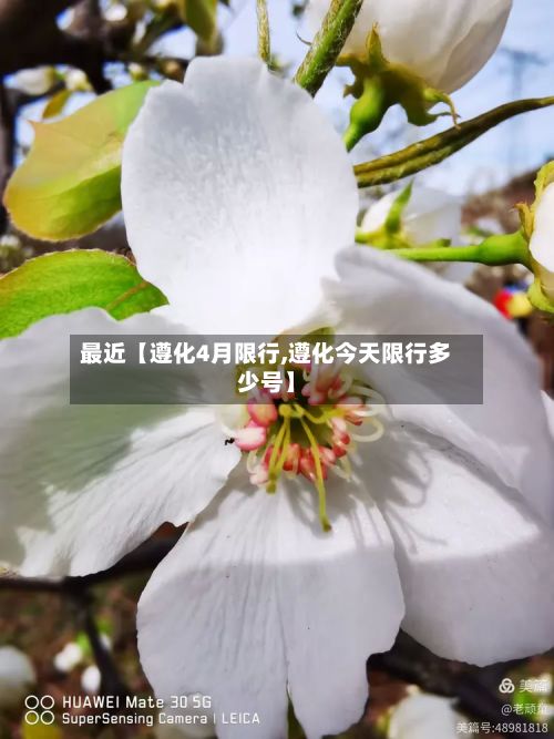 最近【遵化4月限行,遵化今天限行多少号】-第2张图片