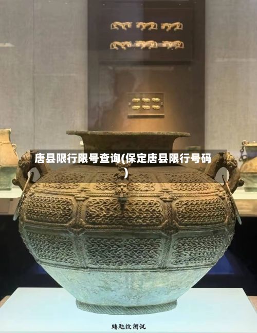 唐县限行限号查询(保定唐县限行号码)