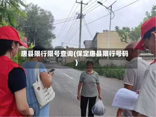 唐县限行限号查询(保定唐县限行号码)-第3张图片