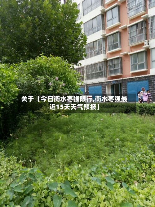 关于【今日衡水枣强限行,衡水枣强最近15天天气预报】-第2张图片