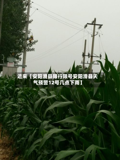 近来【安阳滑县限行限号安阳滑县天气预警12号几点下雨】
