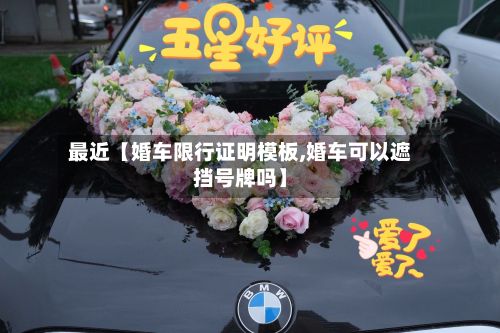 最近【婚车限行证明模板,婚车可以遮挡号牌吗】-第3张图片