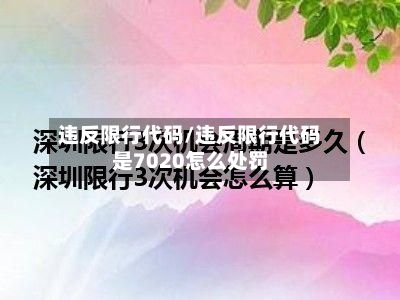 违反限行代码/违反限行代码是7020怎么处罚-第3张图片