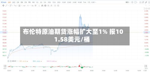 布伦特原油期货涨幅扩大至1% 报101.58美元/桶
