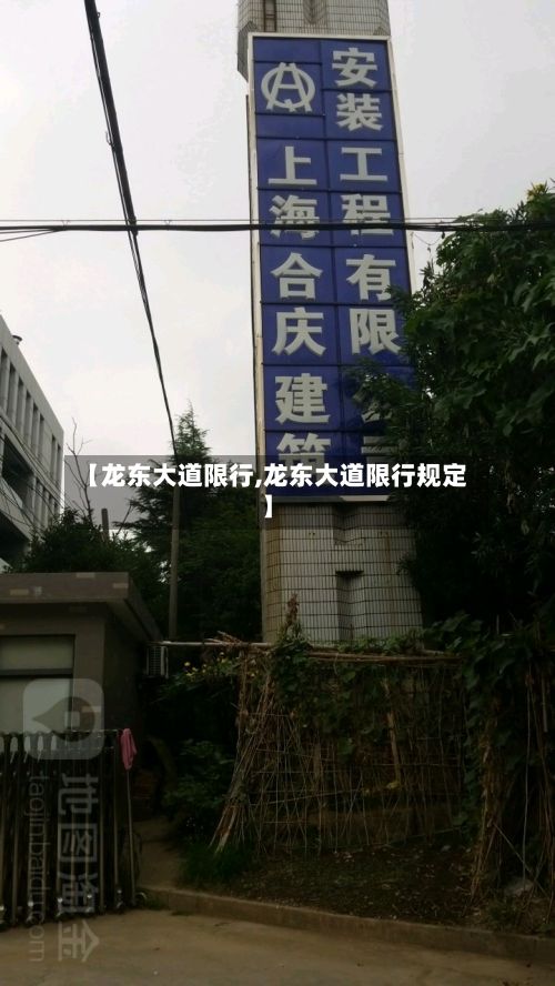 【龙东大道限行,龙东大道限行规定】